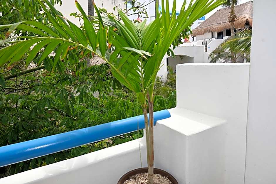 Pelicano Inn Playa del Carmen - Beachfront Hotel