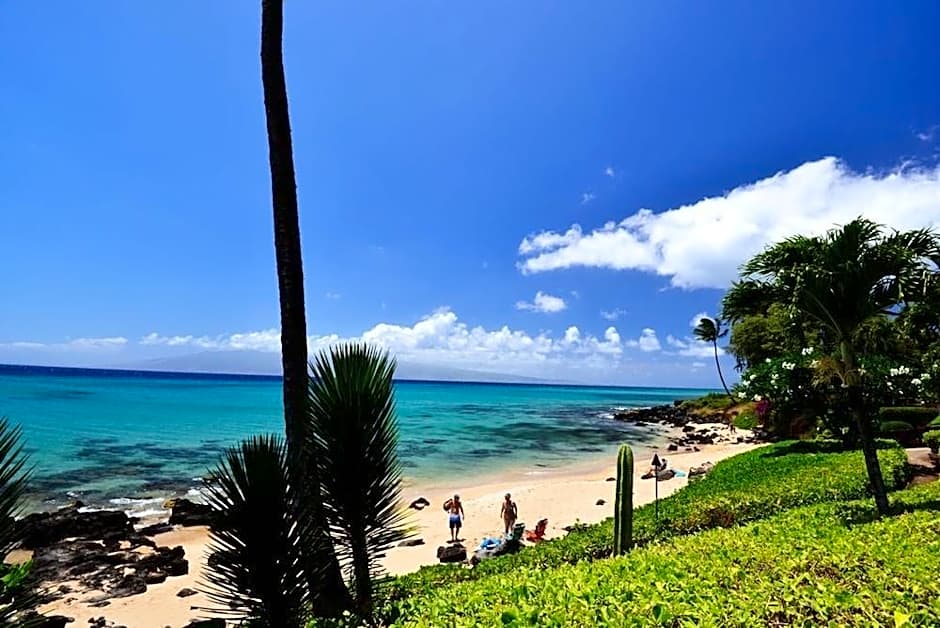 Kuleana 208 - 1Br Condo