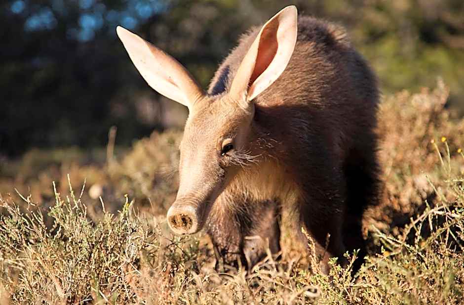 Samara Karoo Reserve