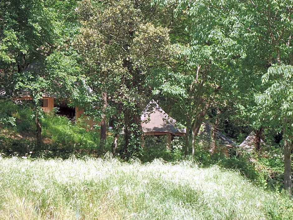 Prehistoric Lodge - Adult Only