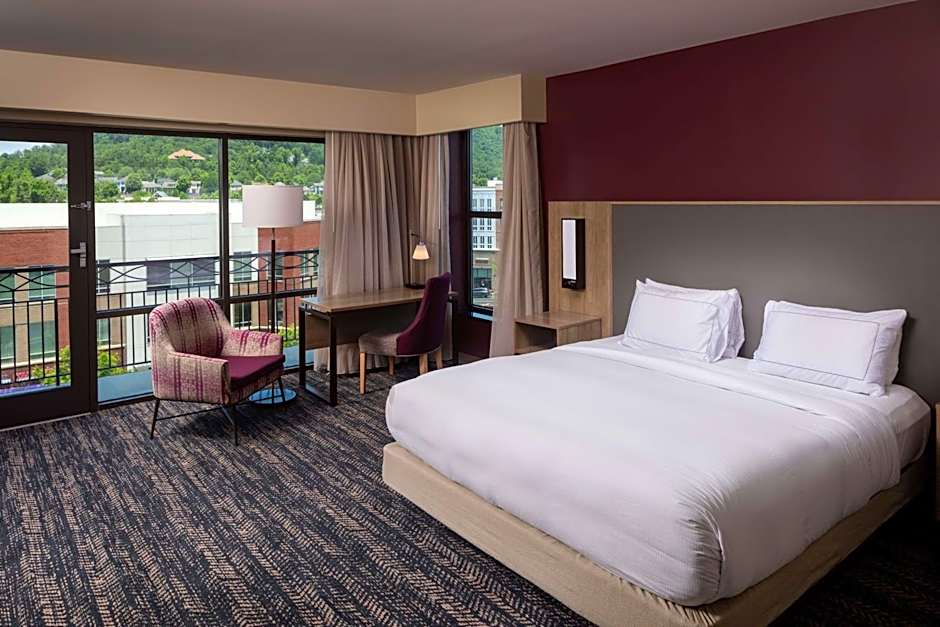 Hilton Asheville Biltmore Park