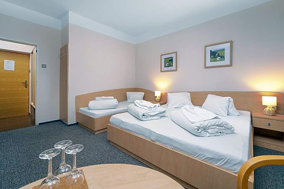 Horský Hotel Jelínek