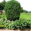 Ordieview Bed & Breakfast