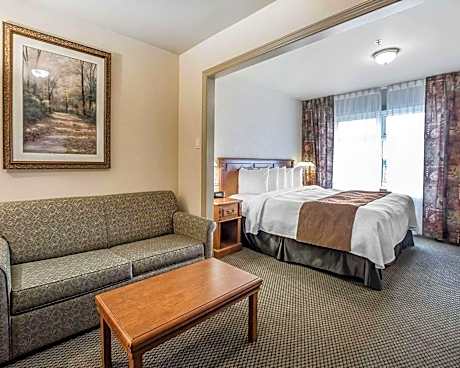 1 Queen Bed, Business Room, Suite, Nonsmoking