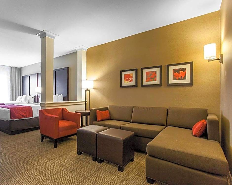 Comfort Suites Youngstown North