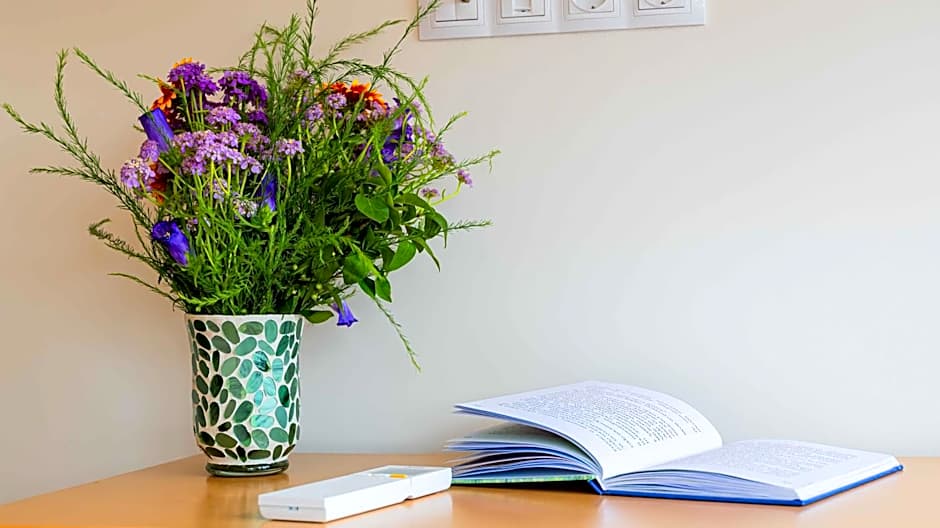 Central DELUXE Apartment