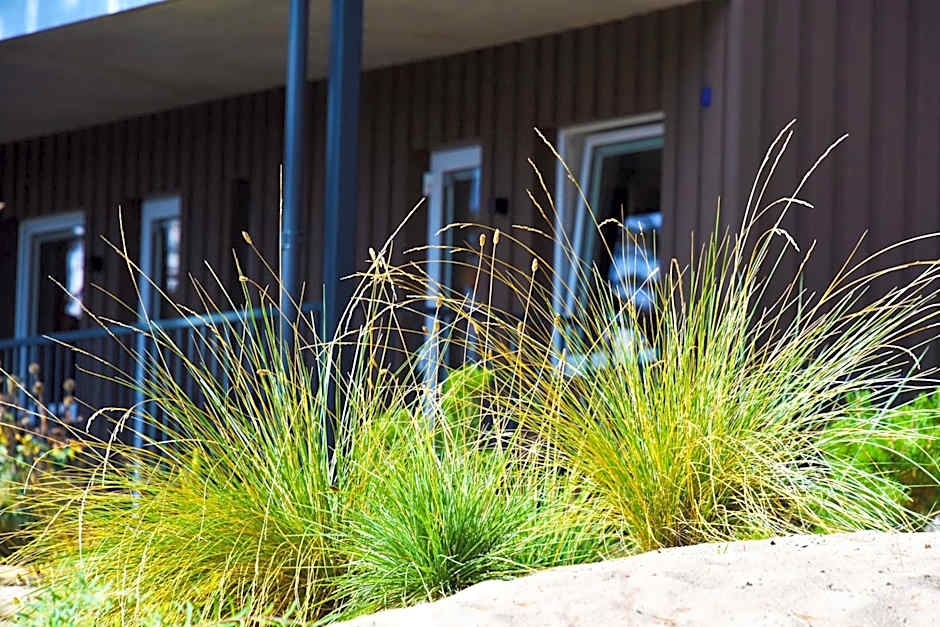 FORUS apartments in Sventoji