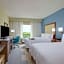 Hampton Inn By Hilton Snyder Tx