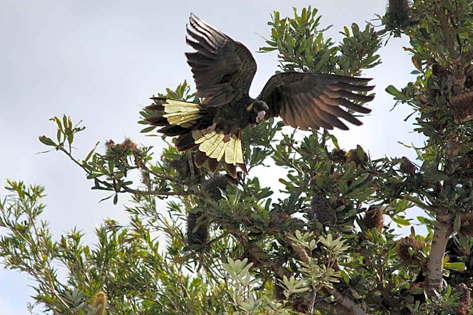 Holiday Haven Burrill Lake