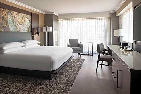Room, 1 King Bed, City View