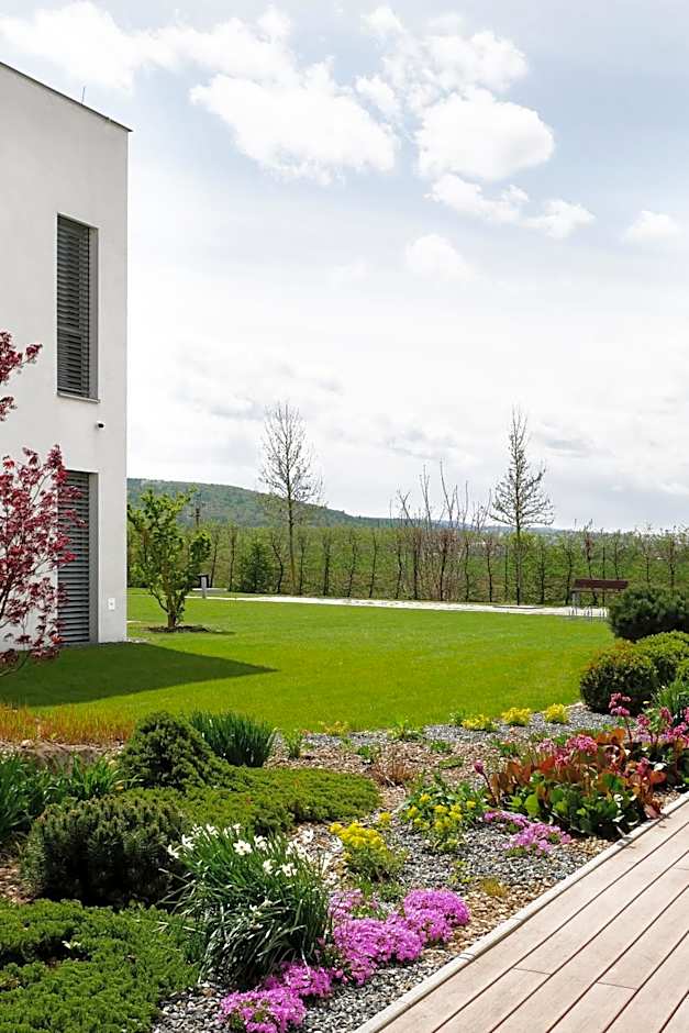 Hotel Harmony Medical & Wellness-Free Parking, 1,8km from the center