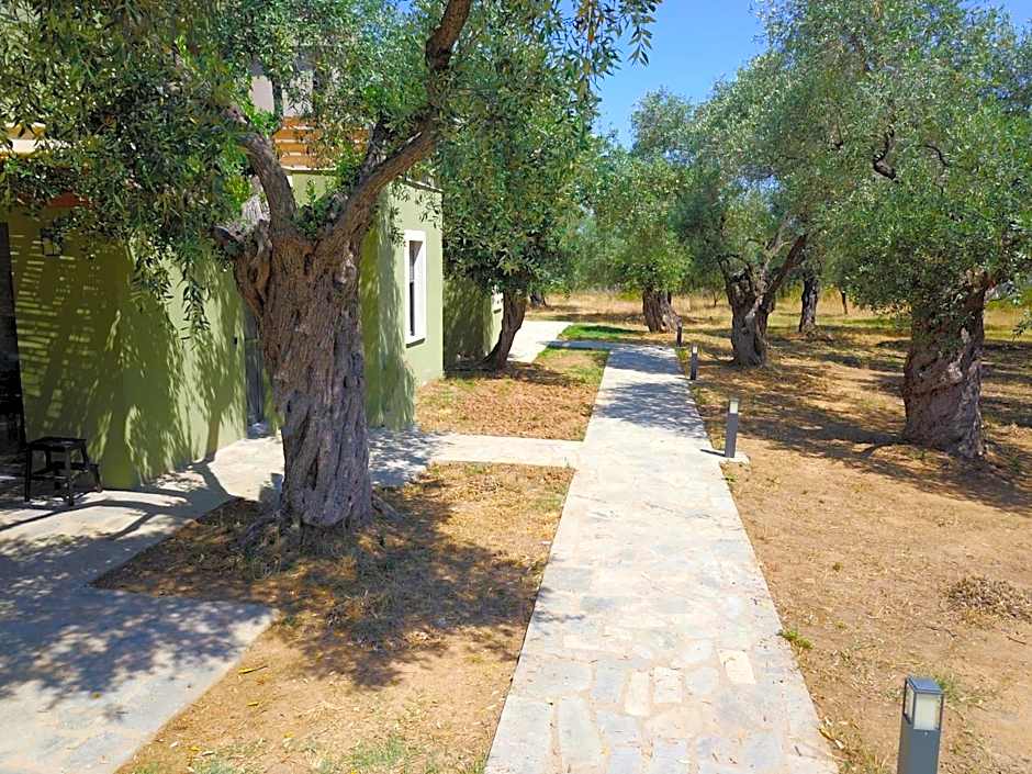 The Thassian Yard Houses