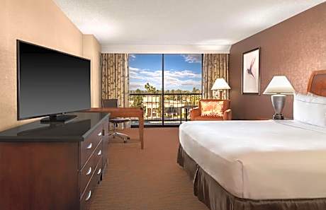 1 King Bed Superior Room