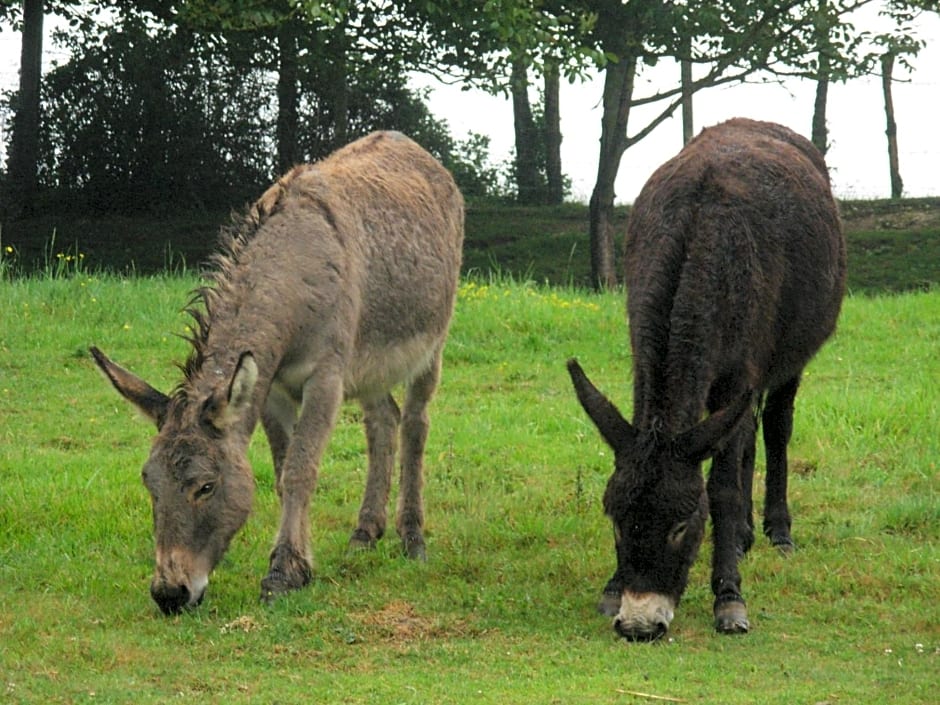 Les Chambres d'Ebalet