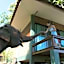 Chiang Mai Elephant Friends