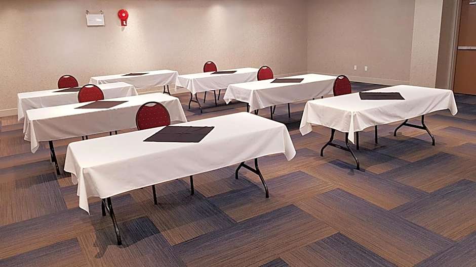 Holiday Inn Express and Suites Surrey By IHG