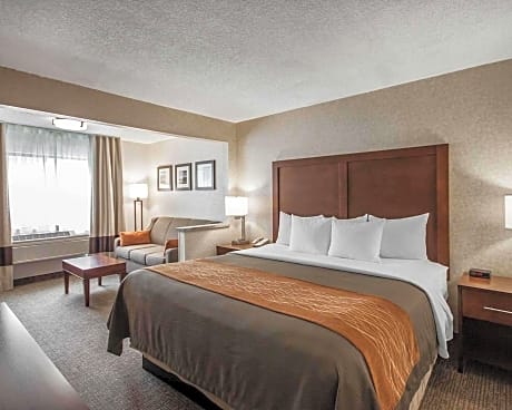 1 King Bed, Suite, Nonsmoking, Accessible