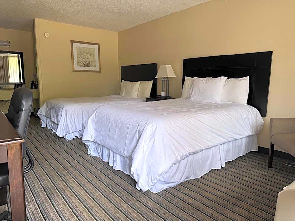 The Hotel Francis