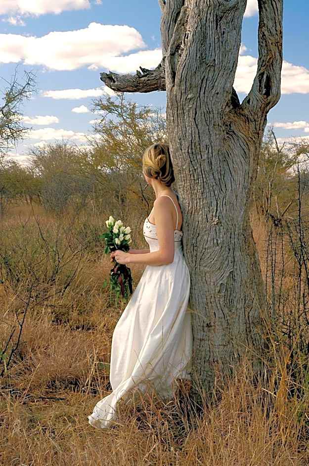 Madikwe Hills Private Game Lodge