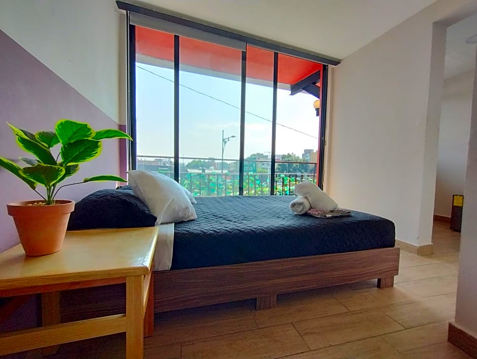 Colmena Monterrey