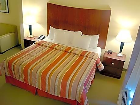 1 King Bed, Suite, Nonsmoking