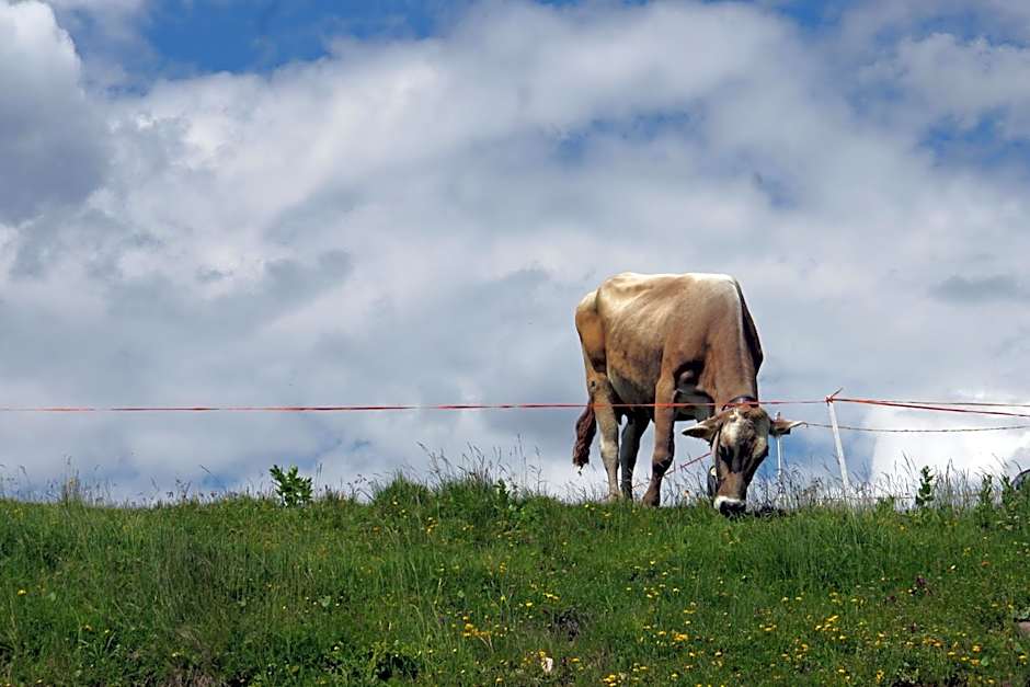 Sporting Clubresidence
