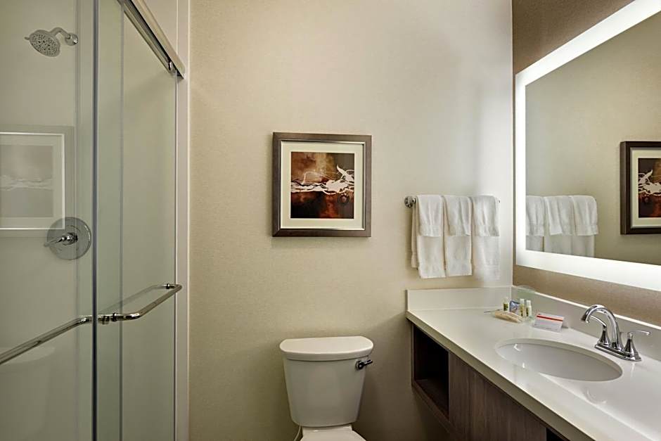 Holiday Inn St. George Convention Center By IHG