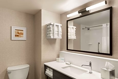 2QN ACCESSIBLE ROOM W/ ROLL-IN SHOWER NS
