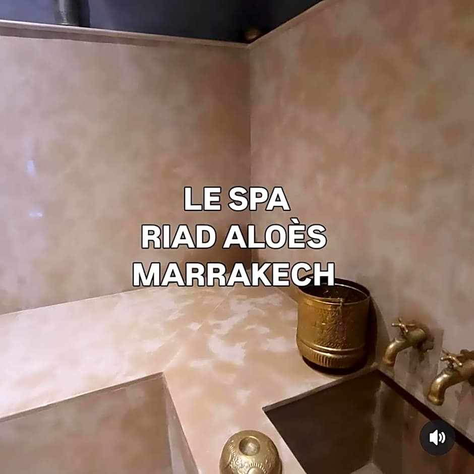 Riad Aloes & Spa