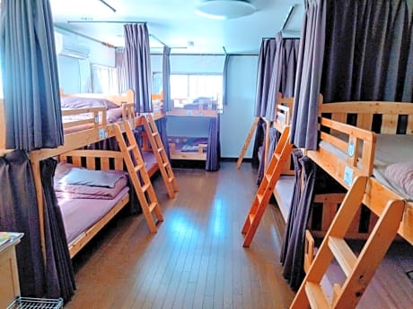 Bunk Bed in Mixed Dormitory Room