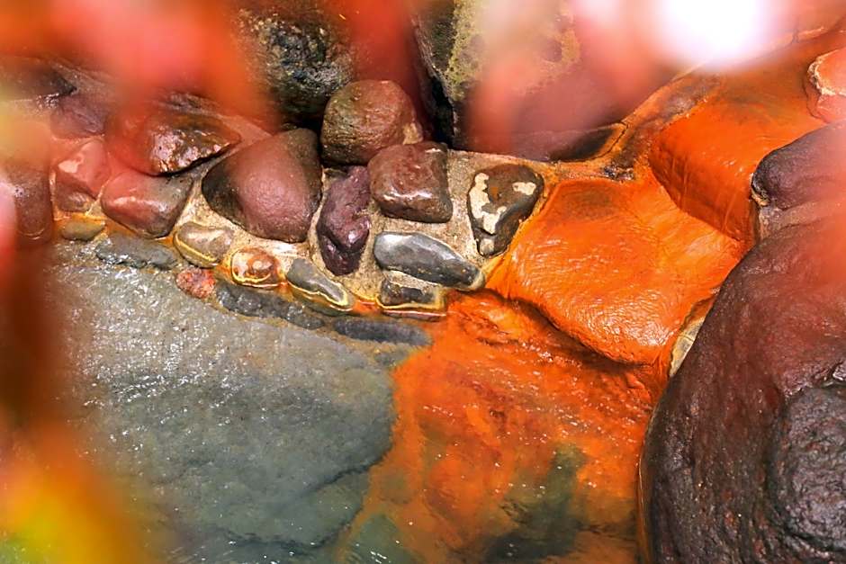 Morinoyu Sanseikan Ryokan