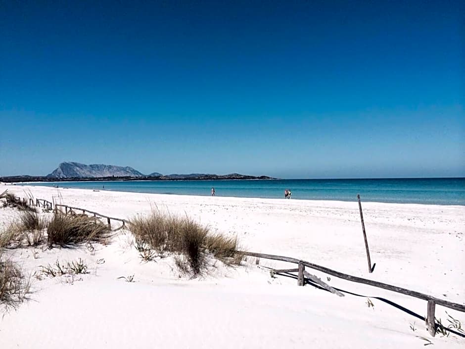 HOTEL Al FARO , SPIAGGIA LA CINTA ,SAN TEODORO