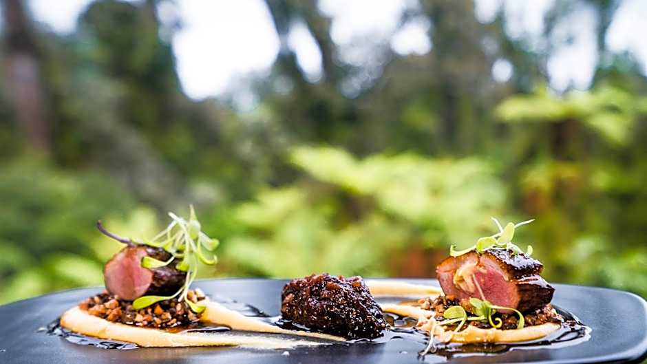 Te Waonui Forest Retreat