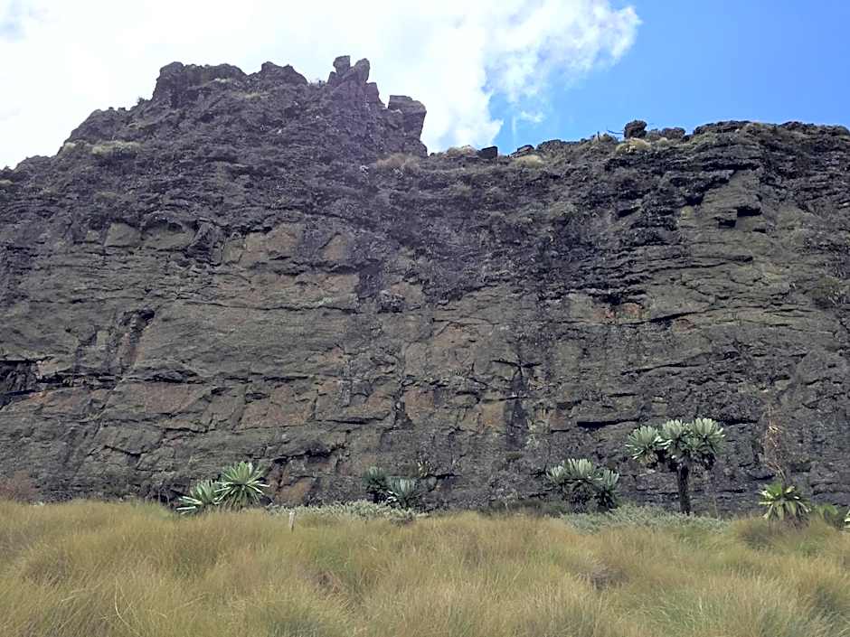 Bubbles Lodge Kinangop