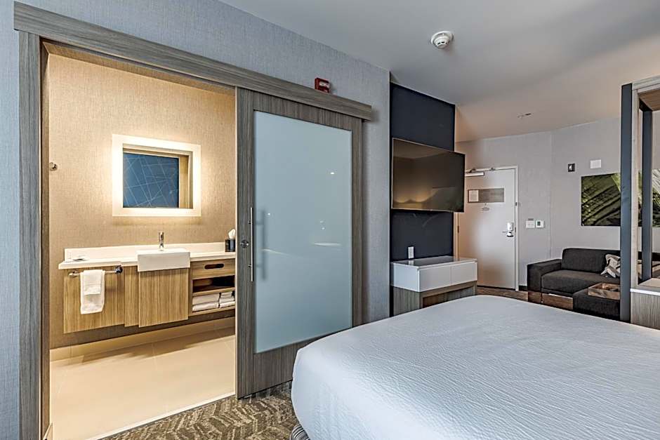 SpringHill Suites by Marriott Detroit Sterling Heights