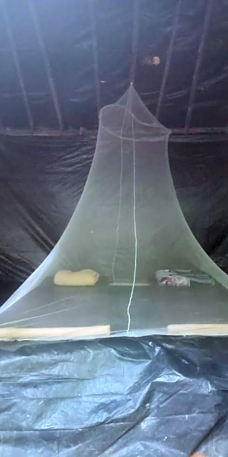 Umiyuki jungle tour only treking with us