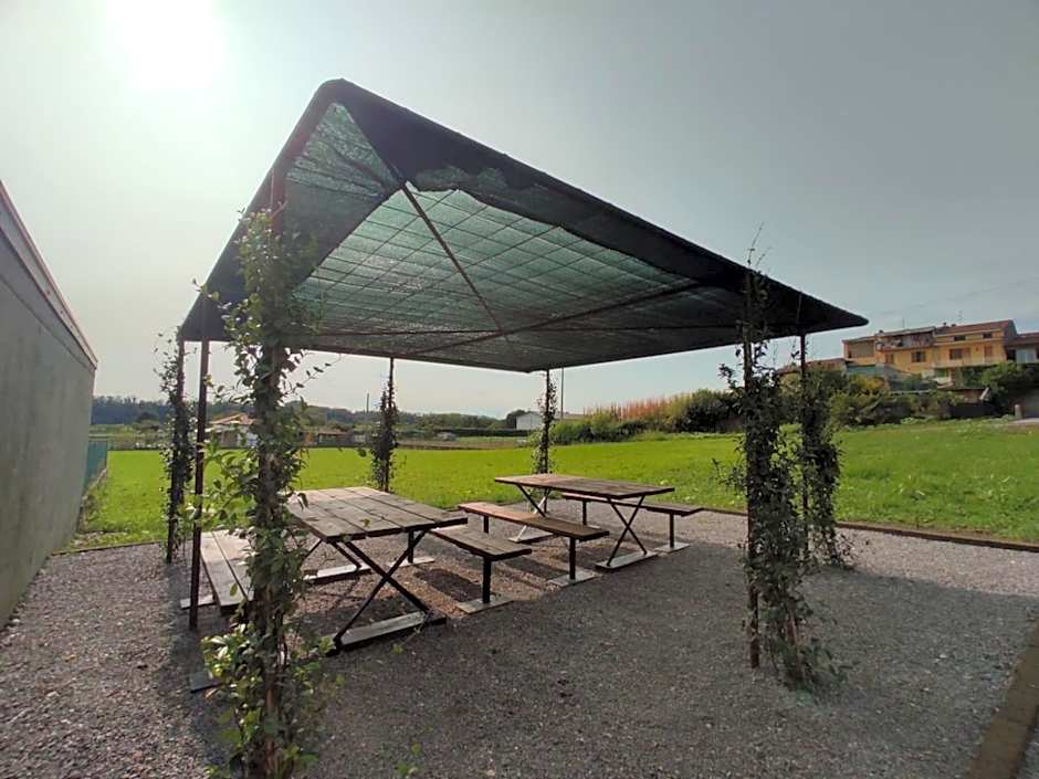 Le vigne sull’Adda