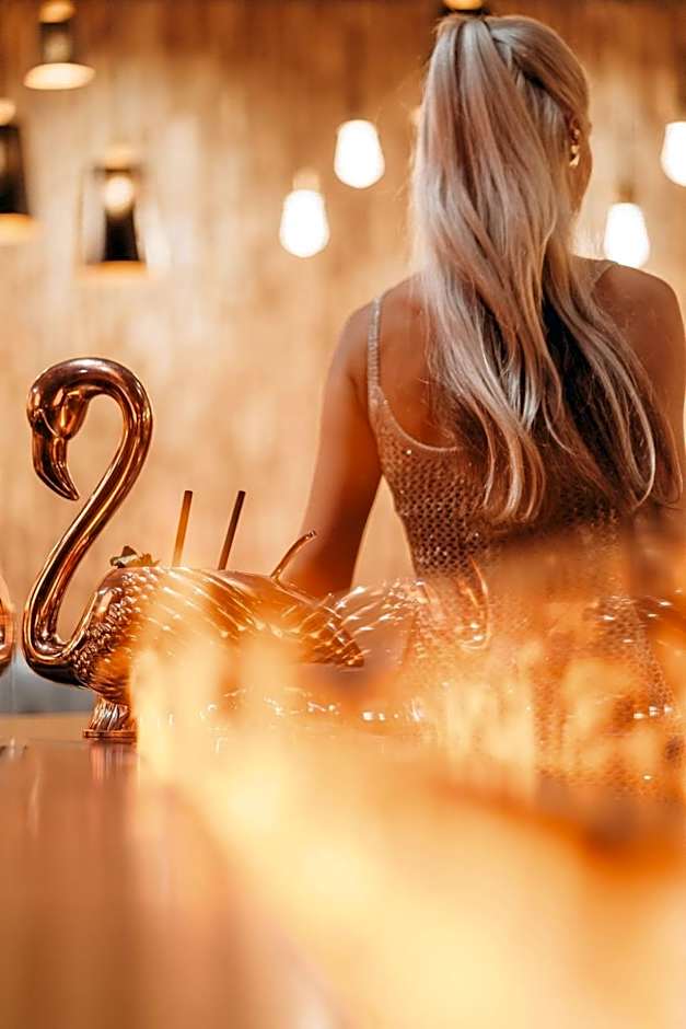 V Spa & Conference Hotel