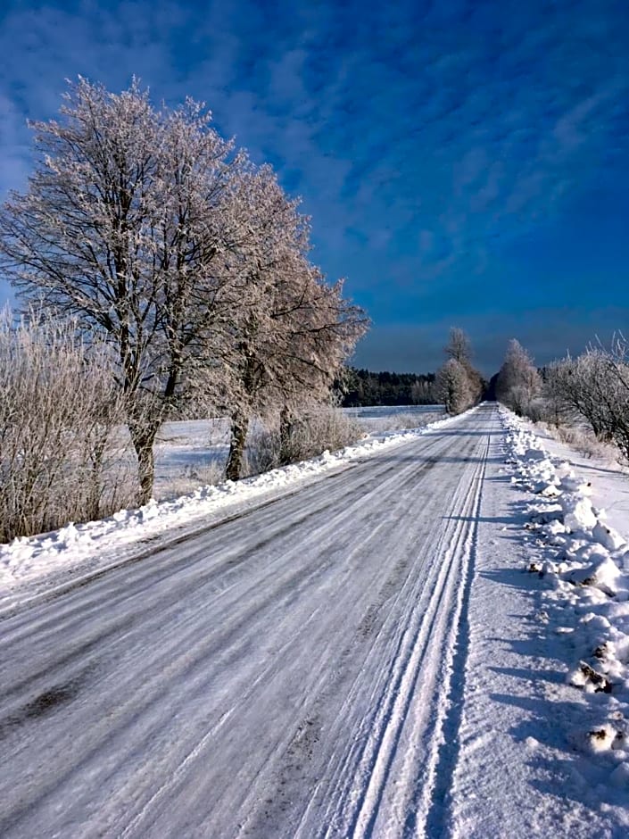 Agroturystyka w zielonym spichlerzu, Puszcza Białowieska