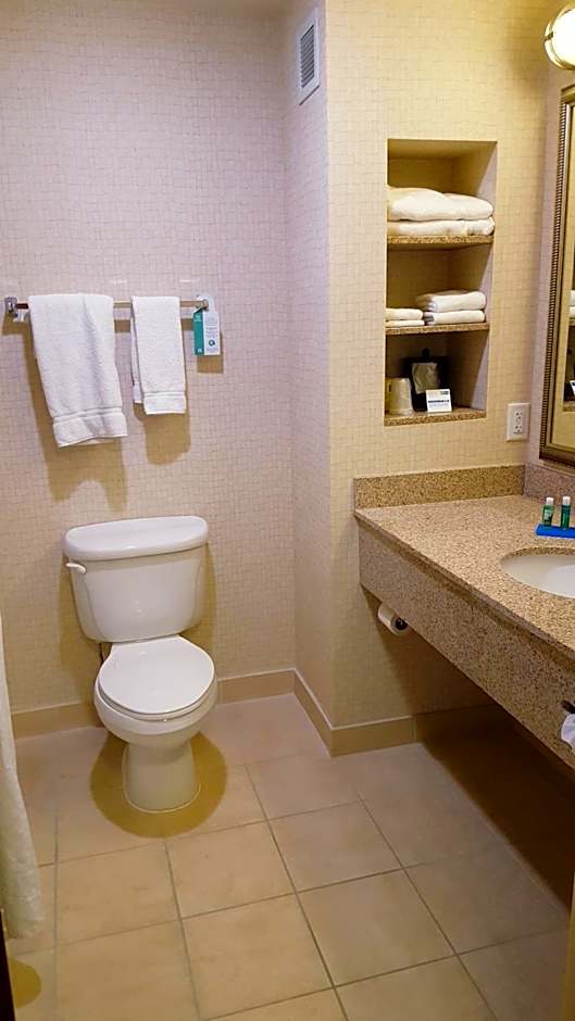 Holiday Inn Express Hotel Twin Falls By IHG