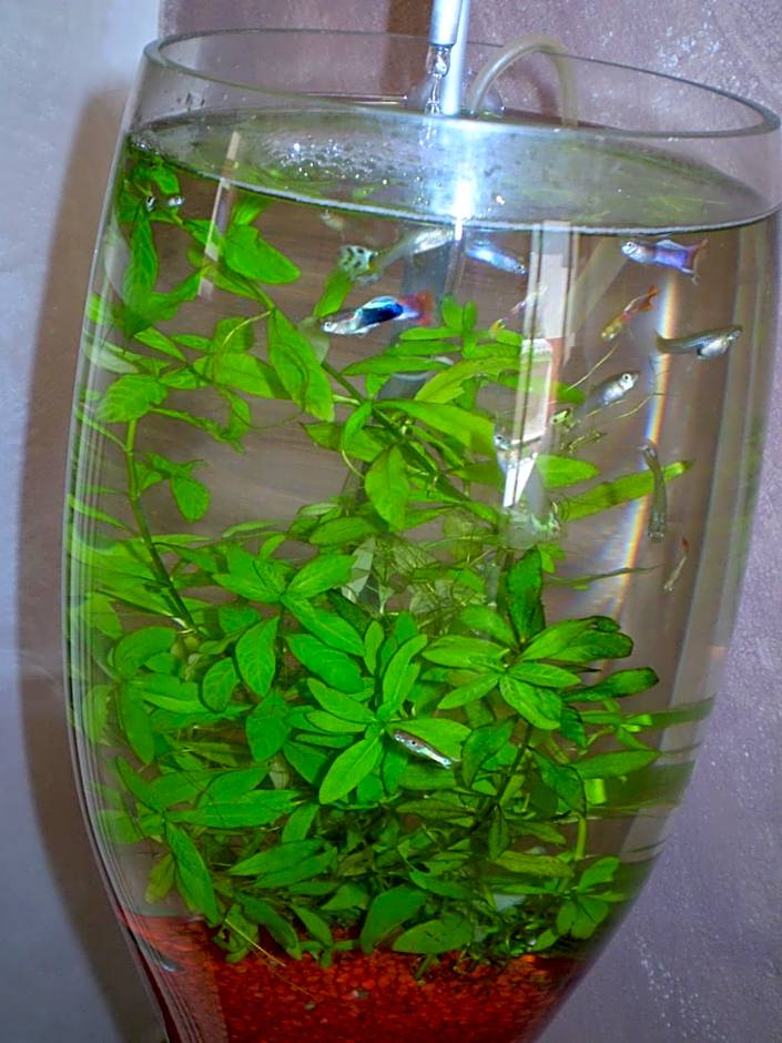 Hotel Sa Cralla Villasimius