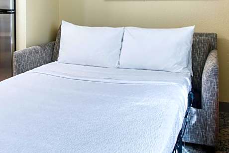 One-Bedroom Queen Suite with Sofa Bed