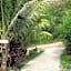 Tarsan Homestay