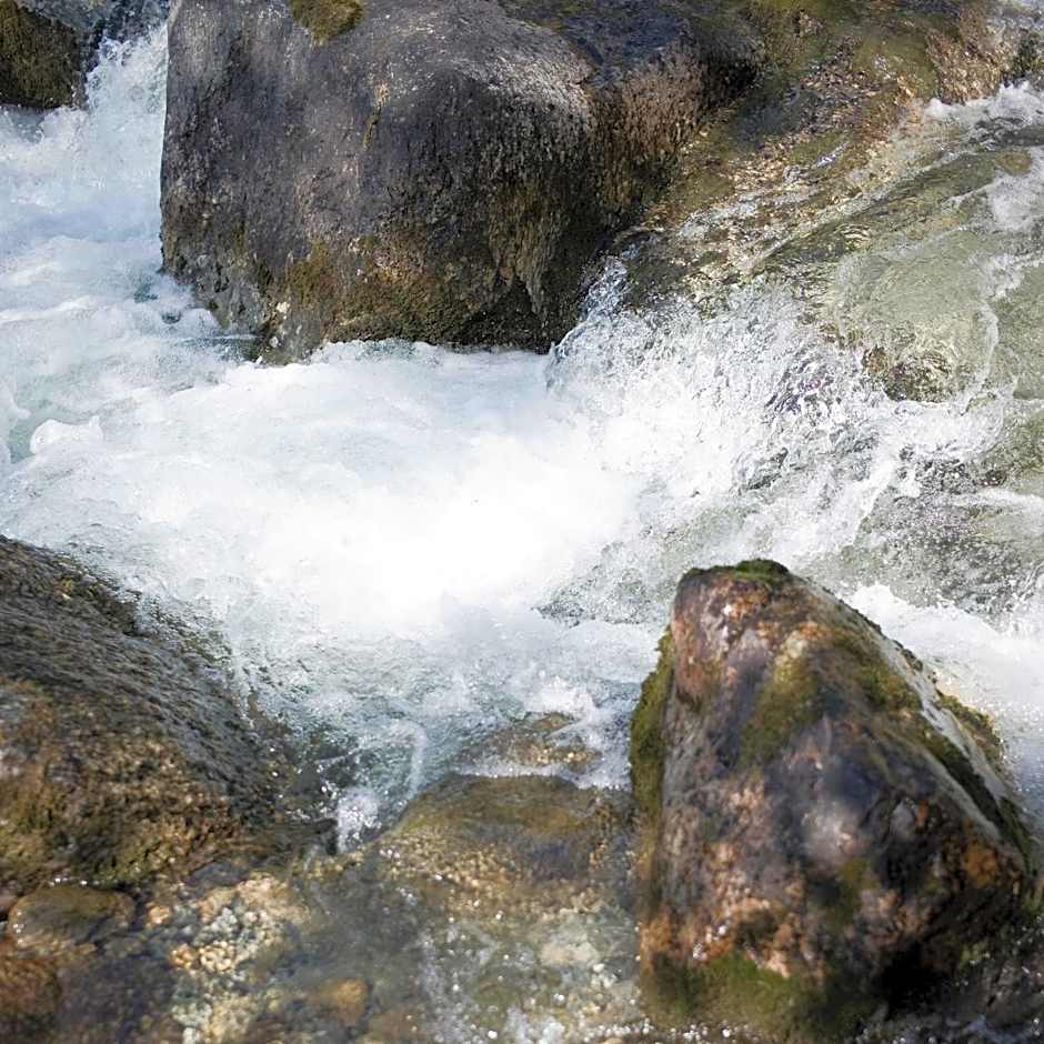 Alpengasthof Crusch Alba ed Alvetern, S-charl