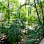 Oskar's Rain Forest Retreat