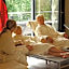 Hotel Schepers