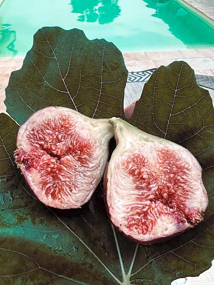 Ron De Mar - FLAMINGO