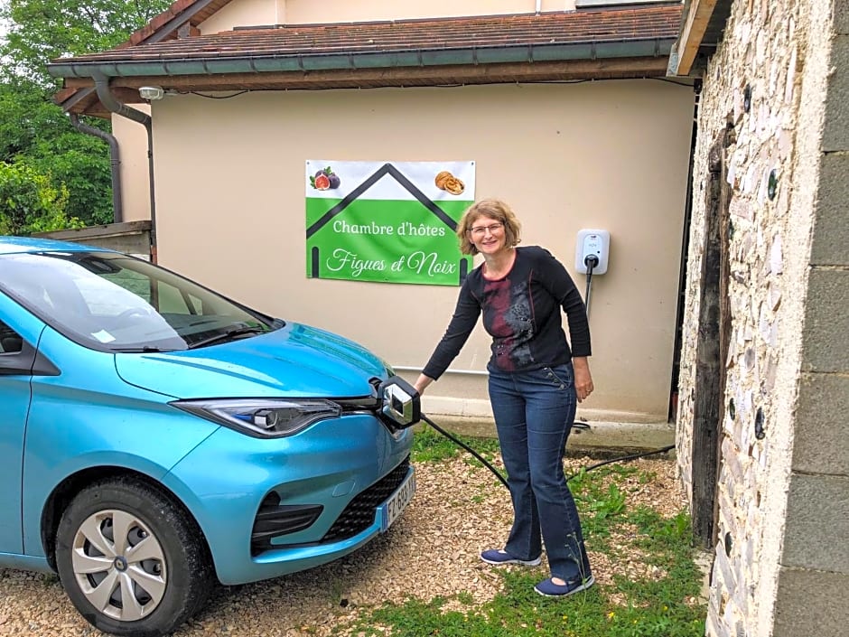 Studio Figues et Noix