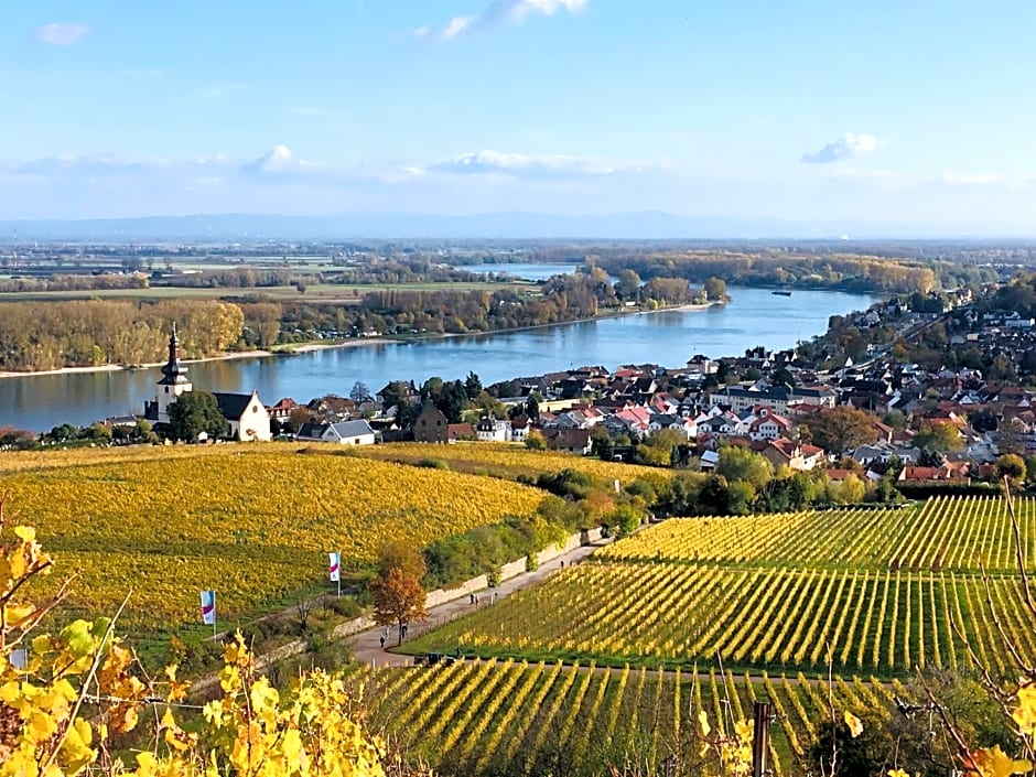 Rhein-Hotel Nierstein