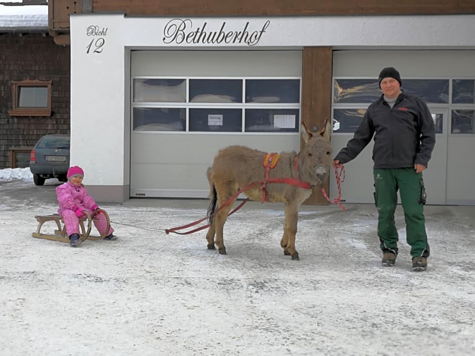 Bauernhof Bethuber